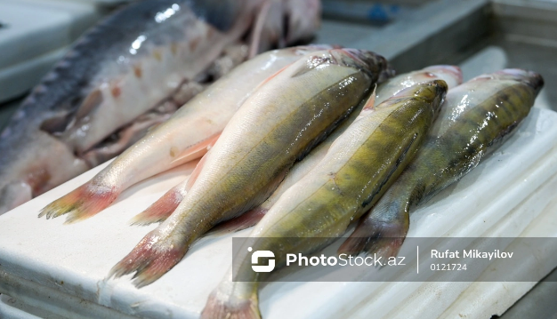 Balıq bazarında canlanma: Ən çox alınan növlər AÇIQLANDI