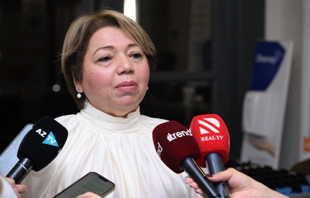 İradə Axundova: "Vərəm xəstəlikləri üzrə milli strateji plan hazırlanır"