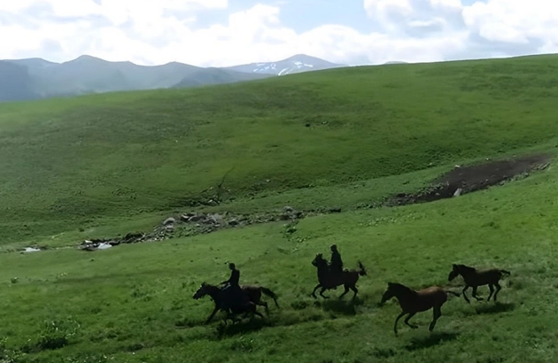 Yaylaq mövsümündə KƏLBƏCƏR: Gözoxşayan görüntülər