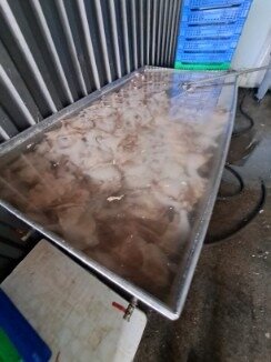 Buzovnada satılan dönər at ətindən imiş: "FQ Foodex"-in hazırladığı dönər ətlərində salmonella bakteriyası aşkarlanıb