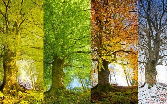 2022-ci ildə fəsillərin Azərbaycana daxilolma vaxtı açıqlandı