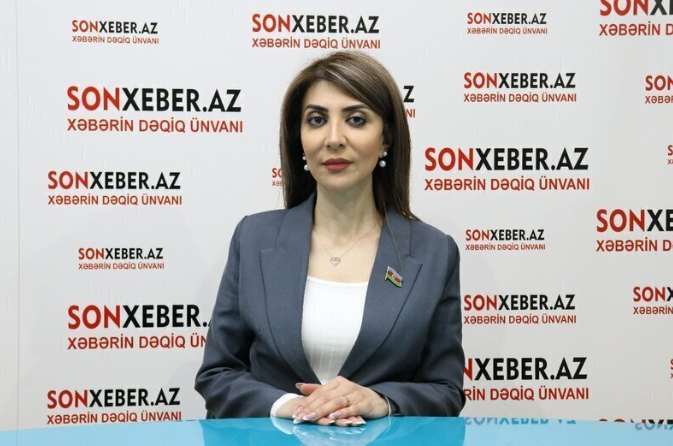 "Bakı Təşəbbüs Qrupunun humanist və demokratik dəyərlərə əsaslanan fəaliyyəti təqdirəlayiqdir" - AÇIQLAMA