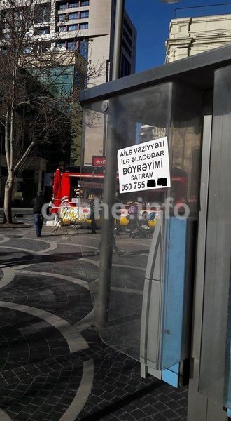 Bakıda ata çarəsizlikdən böyrəyini satır - FOTO