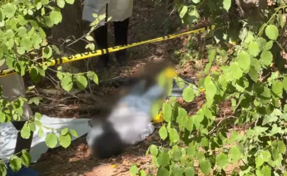 Meşəlik ərazidə başına zibil torbası keçirilmiş kişi meyiti tapıldı - FOTO