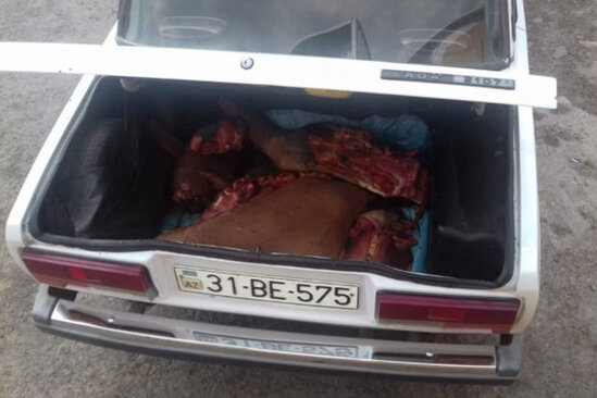 Avtomobilin yük yerindən at əti aşkarlandı - FOTO