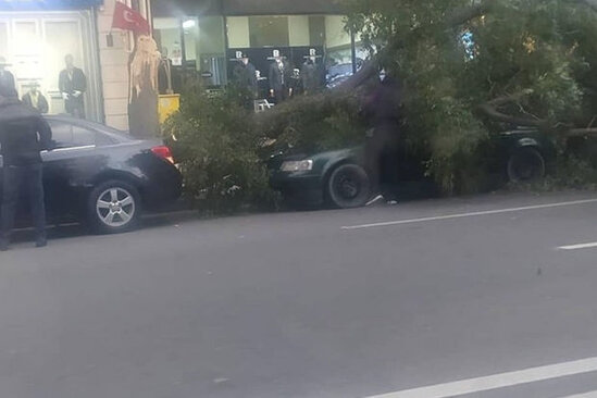 Güclü külək Bakıda bir sıra fəsadlar törədib - FOTO/VİDEO