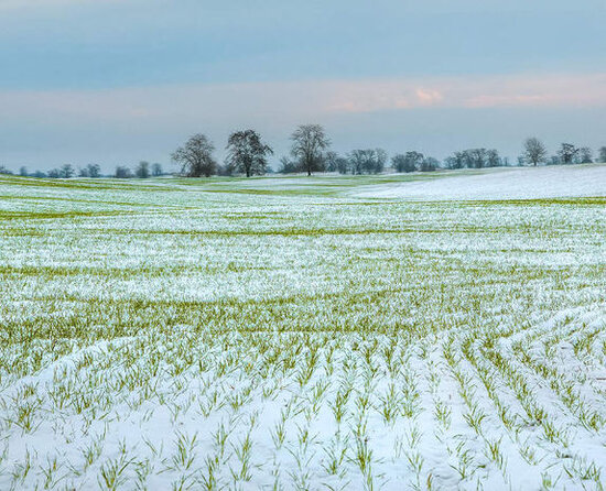 Hava şəraitinin pisləşməsi ilə bağlı fermerlərə MÜRACİƏT