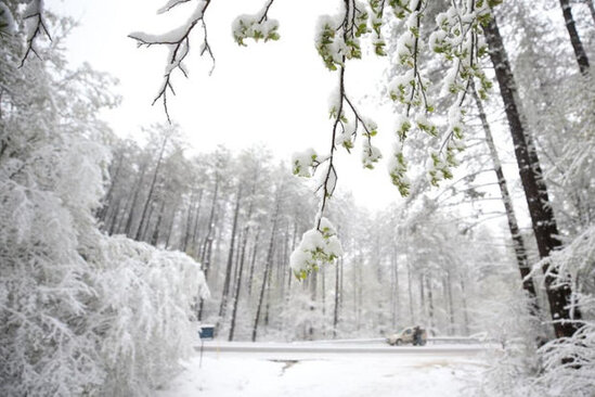 Yazın ortasında Türkiyəyə qar yağdı - FOTO