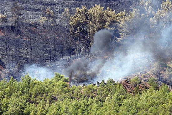 Türkiyədə ildırım düşməsi nəticəsində meşə yanğını başlayıb