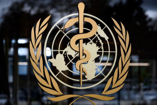 ÜST meymunçiçəyinin hansı səbəbdən artdığını AÇIQLADI