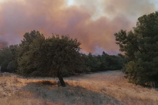 Antalyanı meşə yanğınları bürüyüb – VİDEO