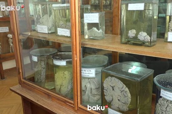 Ölülər dirilərə nə öyrədir? - VİDEO