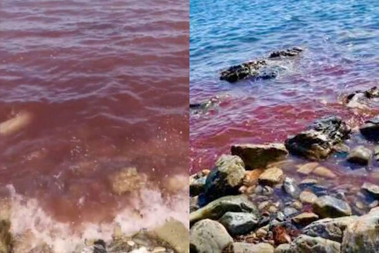 Qara dəniz qırmızıya çevrildi - VİDEO