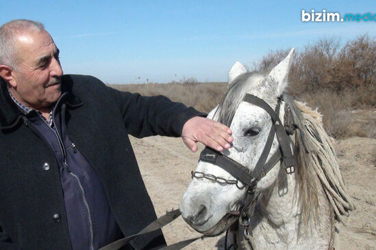 Qarabağ atlarını 30 ildir qoruyan Ağdam sakini: "Qayıdacağımıza əmin idik" - FOTO
