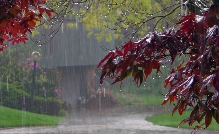 Bəzi yerlərdə yağış yağıb, şimşək çaxıb - FAKTİKİ HAVA