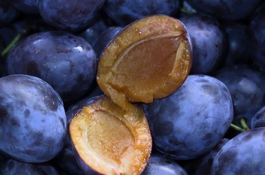 Yayda qara gavalı yeyin