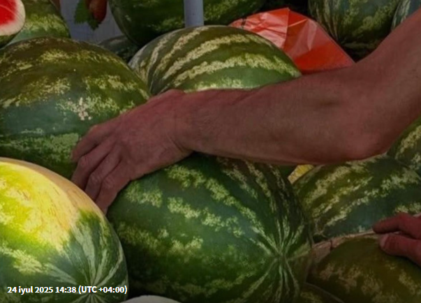 Necə yetişmiş və şirin qarpız seçmək olar? - 10 əlamət