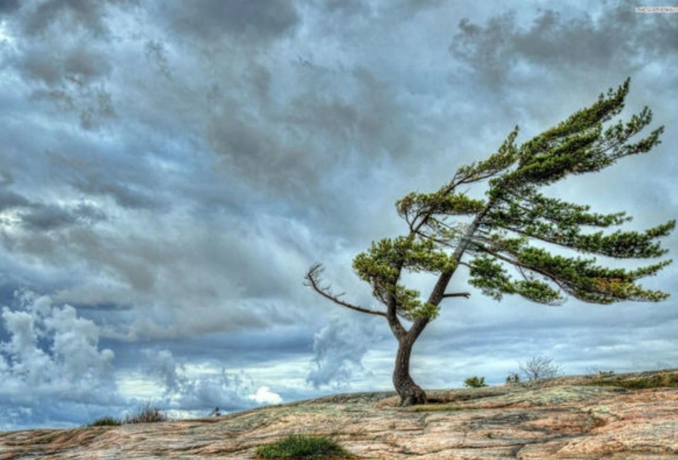 Sabah bəzi bölgələrdə külək güclənəcək - SARI XƏBƏRDARLIQ