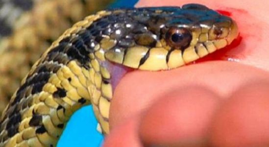 İlan vuran 3 yaşlı uşaq sağaldı - FOTO