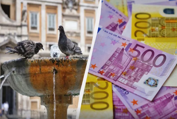 Göyərçinləri yemləməyin qadağan olunduğu ölkələr və cərimələr