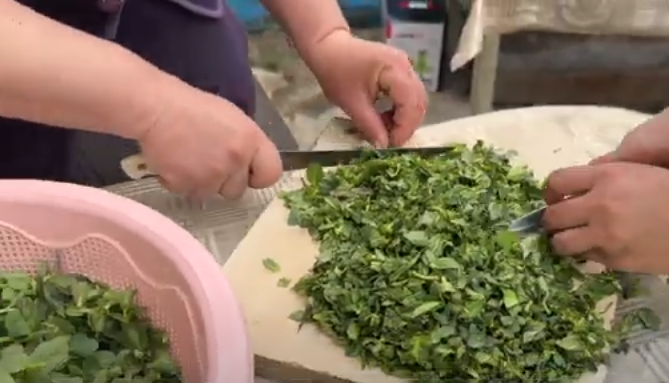 Maraqlı inanc: Bu bölgəmizdə göy guruldamamış bu bitkini dərmirlər - VİDEO