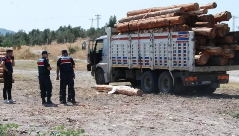 Yük maşınından odunları boşaldarkən faciəvi şəkildə öldü