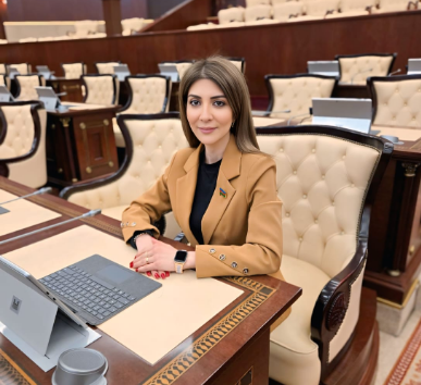 "Enerji sahəsi Azərbaycan və Macarıstan münasibətlərinin əsas sütunlarından biridir" - DEPUTAT