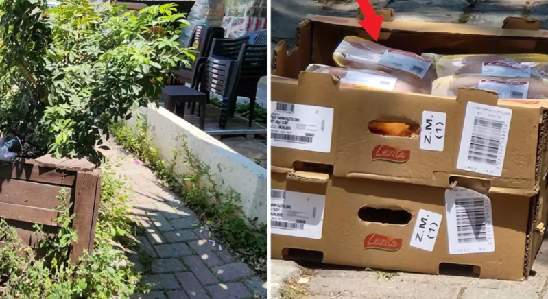 Marketə satış üçün gətirilən toyuqları saatlarla günəşin altında saxladılar