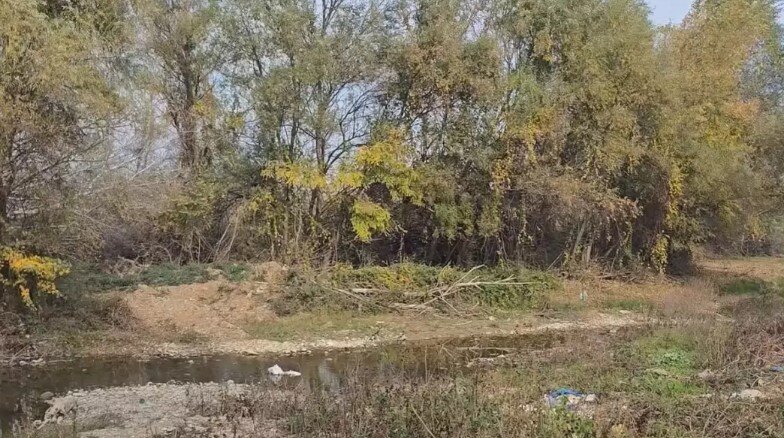 Türk vətəndaşı meşəlik ərazidə ölü tapıldı