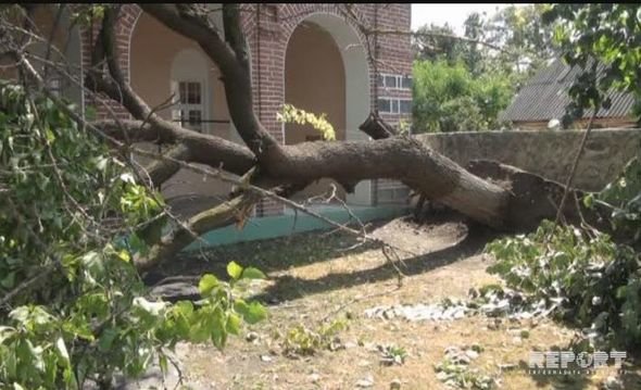 Zaqatala iflic oldu - FOTOLAR