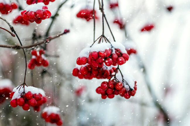 Hava XƏBƏRDARLIĞI: Yanvarın 13-dən...