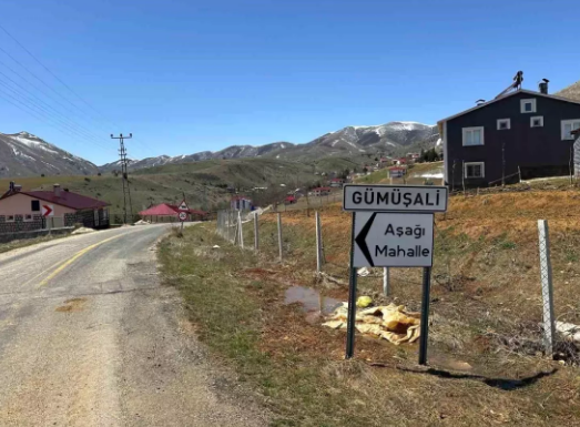 İt hücumu: 72 yaşlı kişi öldü