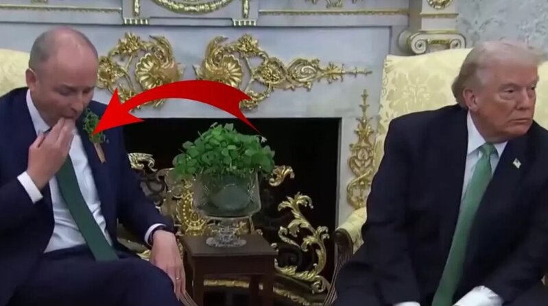 Tramp ilə görüşdə diqqət çəkən an: Ləkəni belə təmizlədi - VİDEO