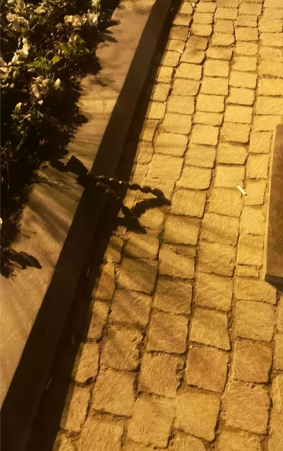 Tağıyevin heykəlinə zərər vuranlara bu qədər cəza verildi