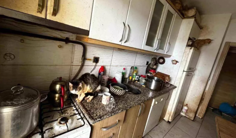 Qapı açılanda qarşılaşılan mənzərə şok etdi! - VİDEO