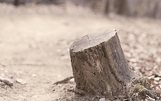 Başına kötük düşdü, öldü