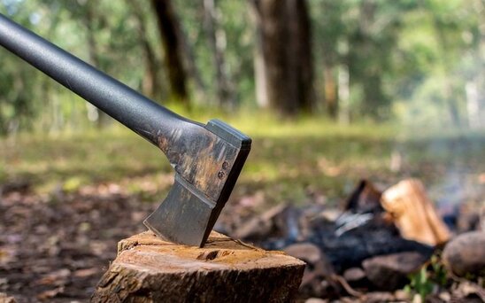 Ekoloji mühitə ziyan vurulması faktları ilə bağlı cinayət işləri başlanılıb