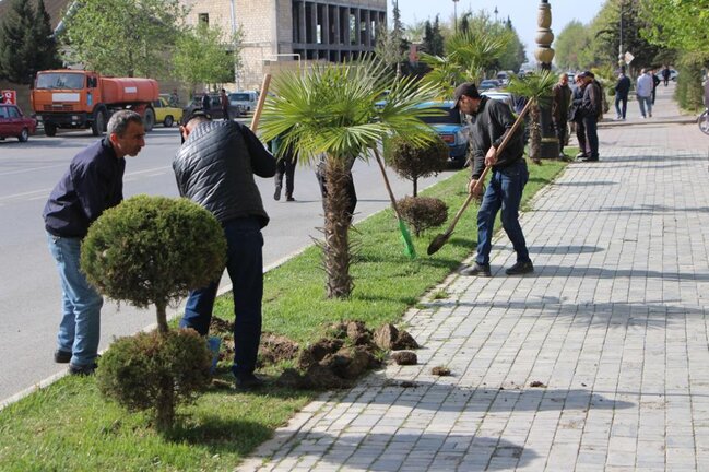 Yevlaxda ümumşəhər iməcliyi keçirilib - FOTOLAR