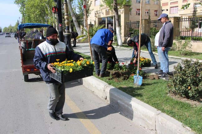 Yevlaxda ümumşəhər iməcliyi keçirilib - FOTOLAR