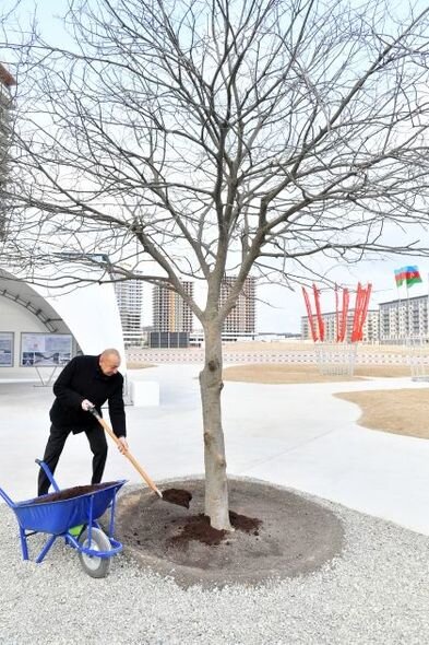 İlham Əliyev Ağ Şəhərin Mərkəzi Park kvartalında həyata keçirilən işlərlə tanış olub - YENİLƏNİB + FOTO