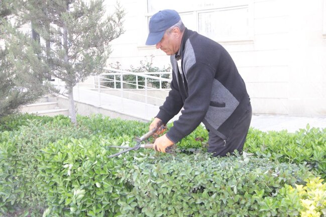 Yevlaxda ümumşəhər iməcliyi keçirilib - FOTOLAR