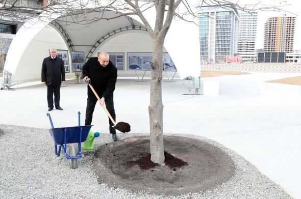 İlham Əliyev Ağ Şəhərin Mərkəzi Park kvartalında həyata keçirilən işlərlə tanış olub - YENİLƏNİB + FOTO