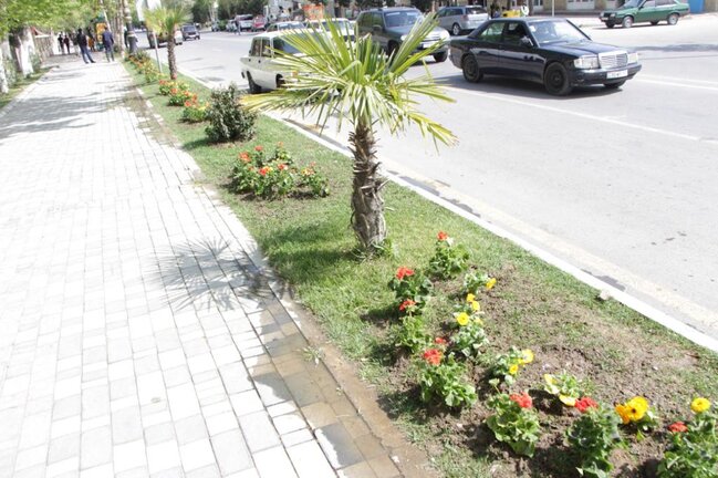 Yevlaxda ümumşəhər iməcliyi keçirilib - FOTOLAR