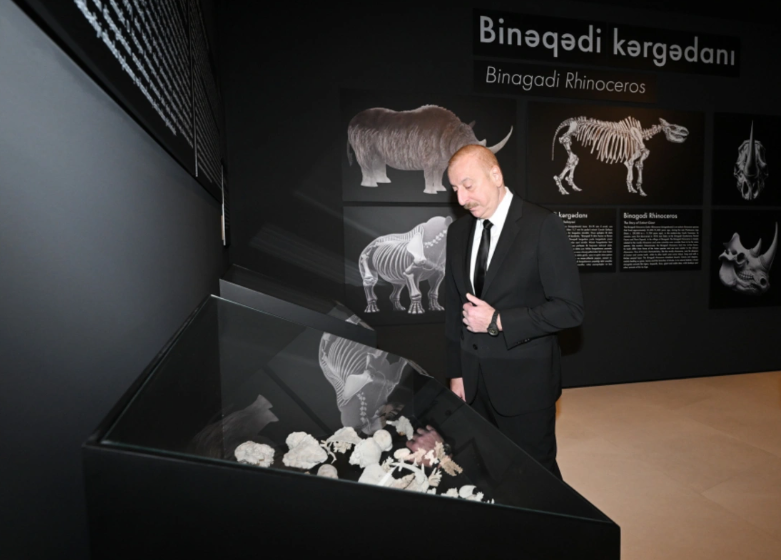 İlham Əliyev Palçıq Vulkanları Turizm Kompleksinin açılışında