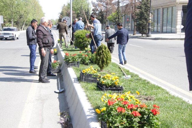Yevlaxda ümumşəhər iməcliyi keçirilib - FOTOLAR
