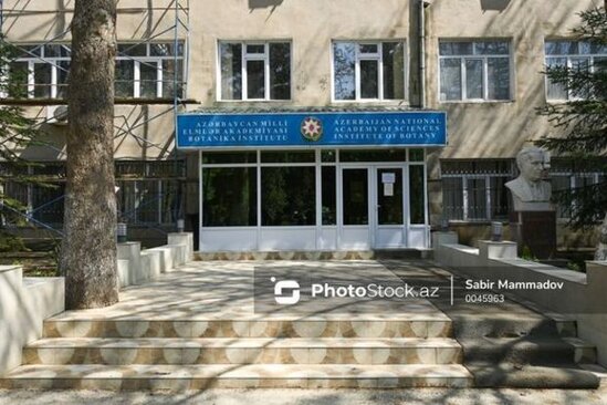 Botanika institutu söküləcək? - Rəsmi AÇIQLAMA