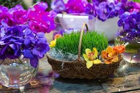 İlaxır Çərşənbə haqqında nələri bilmirik?-Alim MARAQLI FAKTLARI AÇIQLADI