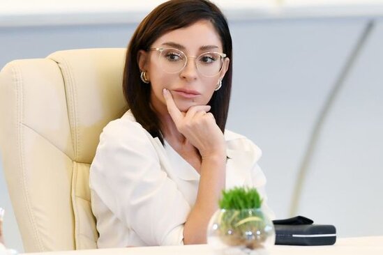 Mehriban Əliyeva tapşırıq verdi: Nazirlikdə müşavirə keçirildi - FOTO/VİDEO