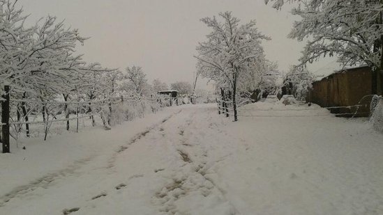 İLK qar yağdı - FOTO+ VİDEO