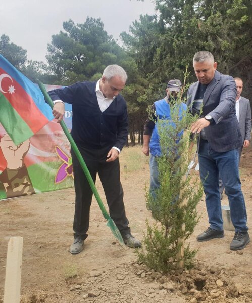 Binəqədidə ​"Vətən Müharibəsi Şəhidlərinin Anım Günü" ərəfəsində ağacəkmə aksiyası keçirilib